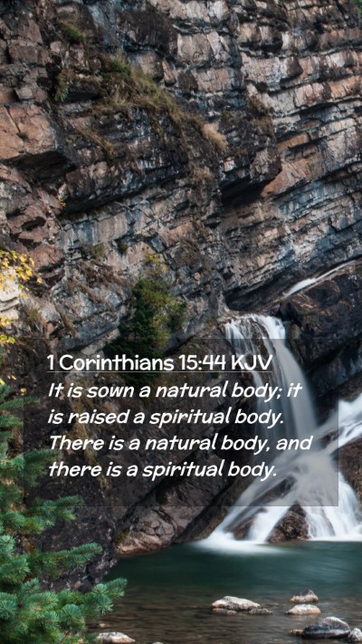 Picture 02 - 1 Corinthians 15:44 KJV Mobile Phone Wallpaper - It is sown a natural body; it is raised a - Mobile Bible Verse Wallpaper