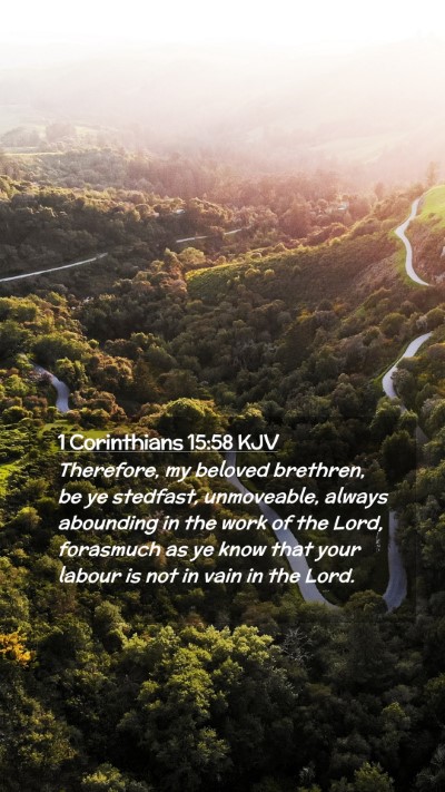 Picture 02 - 1 Corinthians 15:58 KJV Mobile Phone Wallpaper - Therefore, my beloved brethren, be ye stedfast, - Mobile Bible Verse Wallpaper