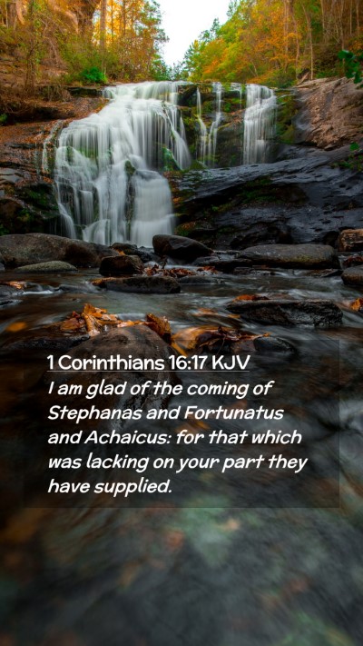 Picture 02 - 1 Corinthians 16:17 KJV Mobile Phone Wallpaper - I am glad of the coming of Stephanas and - Mobile Bible Verse Wallpaper