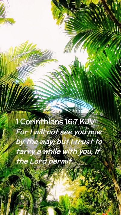 Picture 02 - 1 Corinthians 16:7 KJV Mobile Phone Wallpaper - For I will not see you now by the way; but I - Mobile Bible Verse Wallpaper