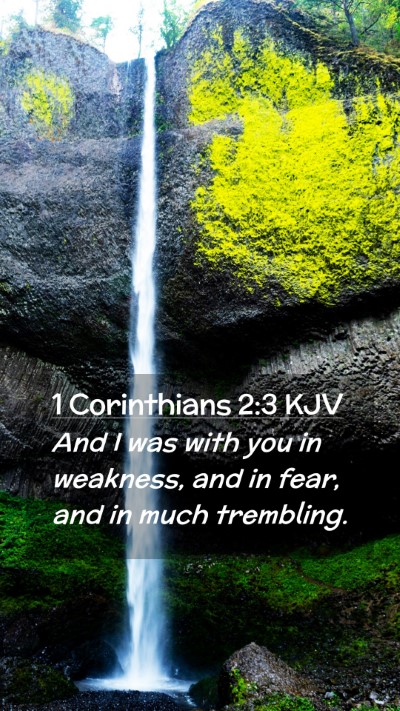 Picture 02 - 1 Corinthians 2:3 KJV Mobile Phone Wallpaper - And I was with you in weakness, and in fear, and - Mobile Bible Verse Wallpaper