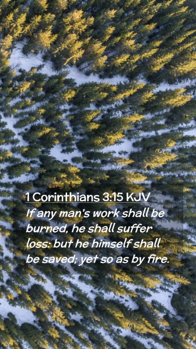Picture 02 - 1 Corinthians 3:15 KJV Mobile Phone Wallpaper - If any man's work shall be burned, he shall - Mobile Bible Verse Wallpaper