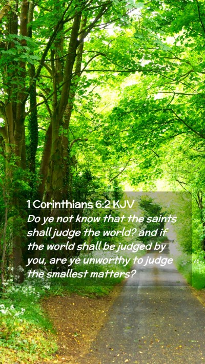 Picture 02 - 1 Corinthians 6:2 KJV Mobile Phone Wallpaper - Do ye not know that the saints shall judge the - Mobile Bible Verse Wallpaper