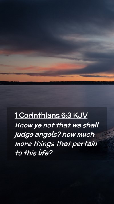Picture 02 - 1 Corinthians 6:3 KJV Mobile Phone Wallpaper - Know ye not that we shall judge angels? how much - Mobile Bible Verse Wallpaper