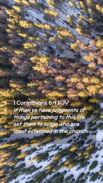 Picture 02 - 1 Corinthians 6:4 KJV Mobile Phone Wallpaper - If then ye have judgments of things pertaining to - Mobile Bible Verse Wallpaper