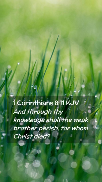 Picture 02 - 1 Corinthians 8:11 KJV Mobile Phone Wallpaper - And through thy knowledge shall the weak brother - Mobile Bible Verse Wallpaper