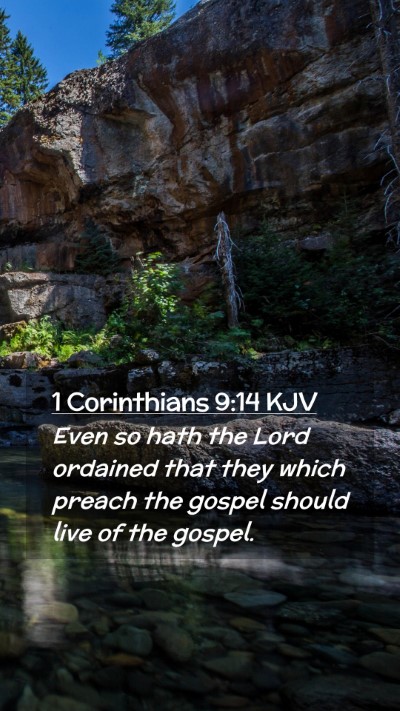 Picture 02 - 1 Corinthians 9:14 KJV Mobile Phone Wallpaper - Even so hath the Lord ordained that they which - Mobile Bible Verse Wallpaper