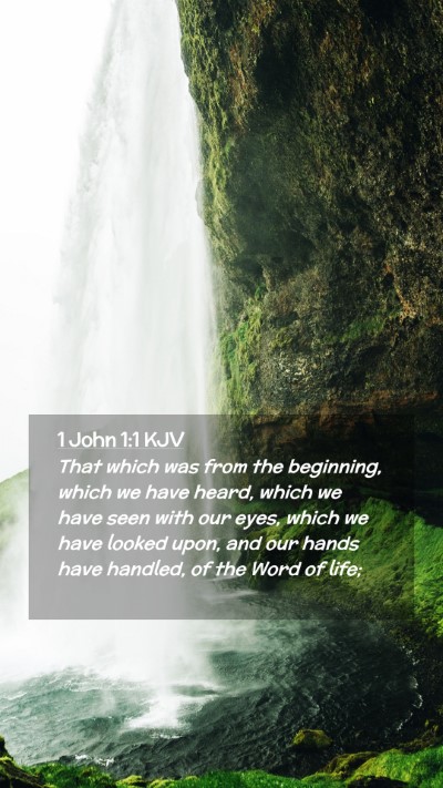 Picture 02 - 1 John 1:1 KJV Mobile Phone Wallpaper - That which was from the beginning, which we have - Mobile Bible Verse Wallpaper