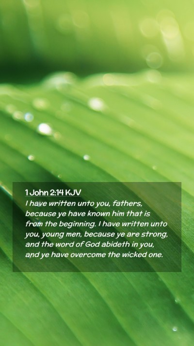 Picture 02 - 1 John 2:14 KJV Mobile Phone Wallpaper - I have written unto you, fathers, because ye have - Mobile Bible Verse Wallpaper