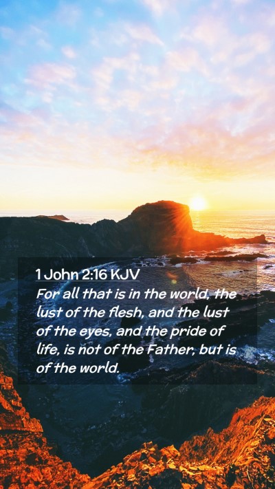 Picture 02 - 1 John 2:16 KJV Mobile Phone Wallpaper - For all that is in the world, the lust of the - Mobile Bible Verse Wallpaper
