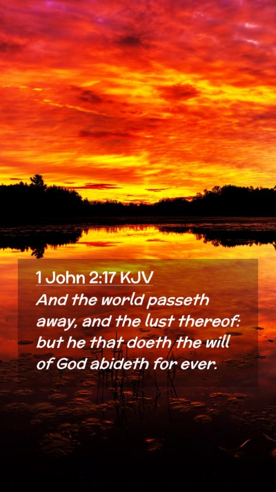 Picture 02 - 1 John 2:17 KJV Mobile Phone Wallpaper - And the world passeth away, and the lust thereof: - Mobile Bible Verse Wallpaper