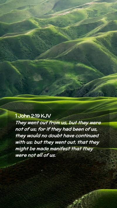 Picture 02 - 1 John 2:19 KJV Mobile Phone Wallpaper - They went out from us, but they were not of us; - Mobile Bible Verse Wallpaper