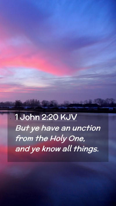 Picture 02 - 1 John 2:20 KJV Mobile Phone Wallpaper - But ye have an unction from the Holy One, and ye - Mobile Bible Verse Wallpaper