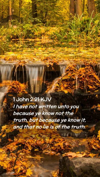 Picture 02 - 1 John 2:21 KJV Mobile Phone Wallpaper - I have not written unto you because ye know not - Mobile Bible Verse Wallpaper
