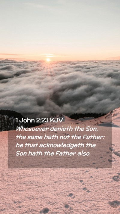 Picture 02 - 1 John 2:23 KJV Mobile Phone Wallpaper - Whosoever denieth the Son, the same hath not the - Mobile Bible Verse Wallpaper