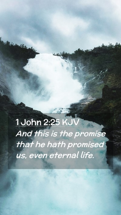 Picture 02 - 1 John 2:25 KJV Mobile Phone Wallpaper - And this is the promise that he hath promised us, - Mobile Bible Verse Wallpaper