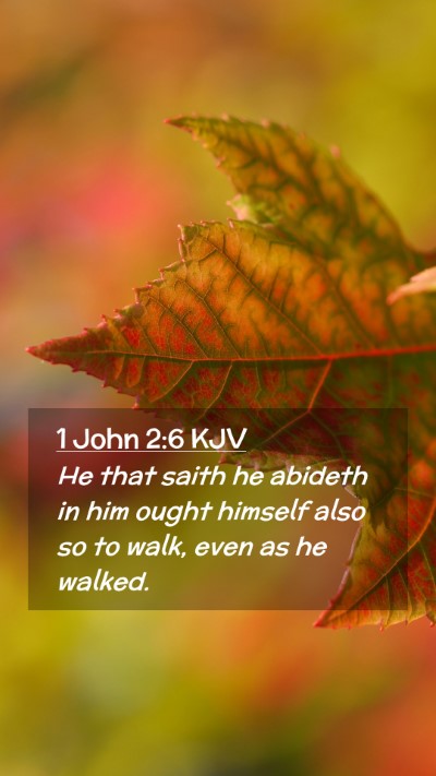 Picture 02 - 1 John 2:6 KJV Mobile Phone Wallpaper - He that saith he abideth in him ought himself - Mobile Bible Verse Wallpaper