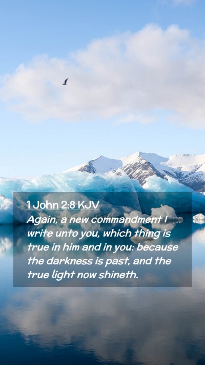Picture 02 - 1 John 2:8 KJV Mobile Phone Wallpaper - Again, a new commandment I write unto you, which - Mobile Bible Verse Wallpaper