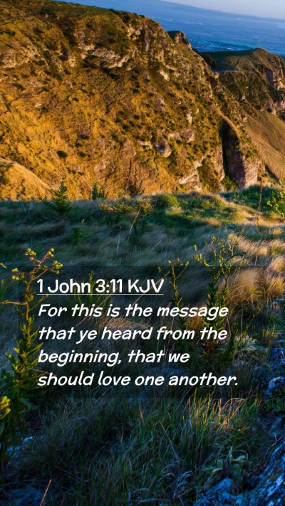 Picture 02 - 1 John 3:11 KJV Mobile Phone Wallpaper - For this is the message that ye heard from the - Mobile Bible Verse Wallpaper