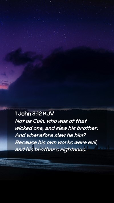 Picture 02 - 1 John 3:12 KJV Mobile Phone Wallpaper - Not as Cain, who was of that wicked one, and slew - Mobile Bible Verse Wallpaper