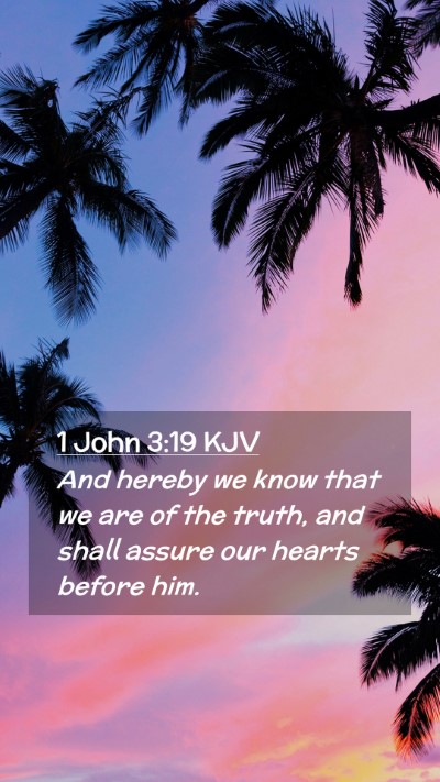 Picture 02 - 1 John 3:19 KJV Mobile Phone Wallpaper - And hereby we know that we are of the truth, and - Mobile Bible Verse Wallpaper