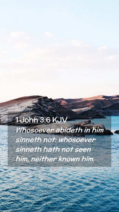 Picture 02 - 1 John 3:6 KJV Mobile Phone Wallpaper - Whosoever abideth in him sinneth not: whosoever - Mobile Bible Verse Wallpaper