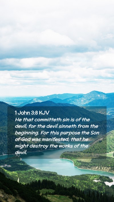 Picture 02 - 1 John 3:8 KJV Mobile Phone Wallpaper - He that committeth sin is of the devil; for the - Mobile Bible Verse Wallpaper