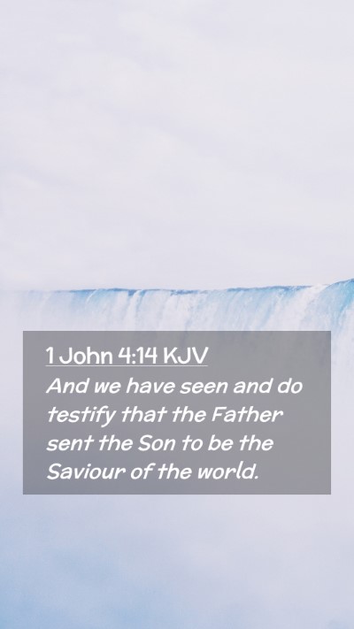 Picture 02 - 1 John 4:14 KJV Mobile Phone Wallpaper - And we have seen and do testify that the Father - Mobile Bible Verse Wallpaper