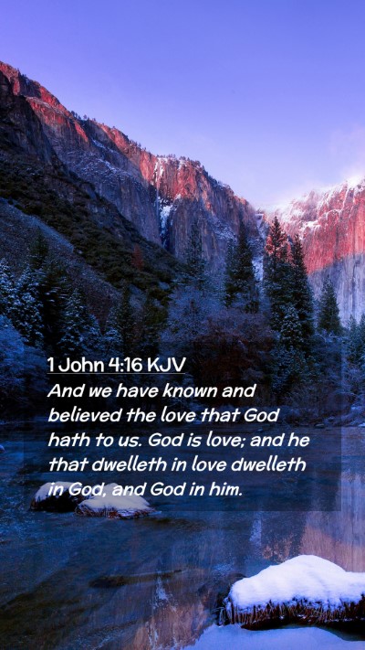 Picture 02 - 1 John 4:16 KJV Mobile Phone Wallpaper - And we have known and believed the love that God - Mobile Bible Verse Wallpaper