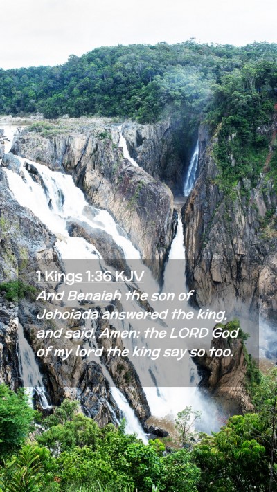 Picture 02 - 1 Kings 1:36 KJV Mobile Phone Wallpaper - And Benaiah the son of Jehoiada answered the - Mobile Bible Verse Wallpaper