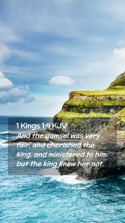 Picture 02 - 1 Kings 1:4 KJV Mobile Phone Wallpaper - And the damsel was very fair, and cherished the - Mobile Bible Verse Wallpaper