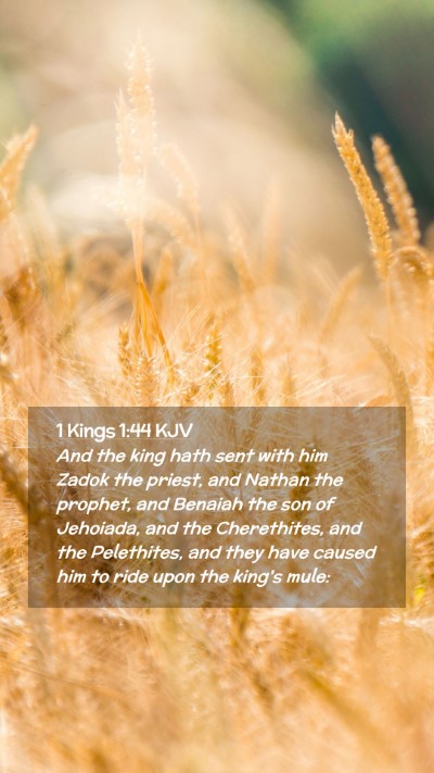 Picture 02 - 1 Kings 1:44 KJV Mobile Phone Wallpaper - And the king hath sent with him Zadok the priest, - Mobile Bible Verse Wallpaper