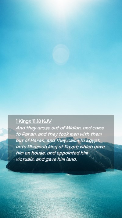 Picture 02 - 1 Kings 11:18 KJV Mobile Phone Wallpaper - And they arose out of Midian, and came to Paran: - Mobile Bible Verse Wallpaper