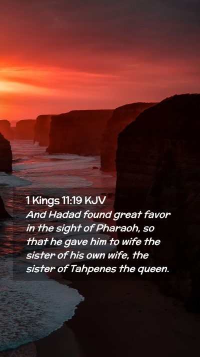 Picture 02 - 1 Kings 11:19 KJV Mobile Phone Wallpaper - And Hadad found great favor in the sight of - Mobile Bible Verse Wallpaper