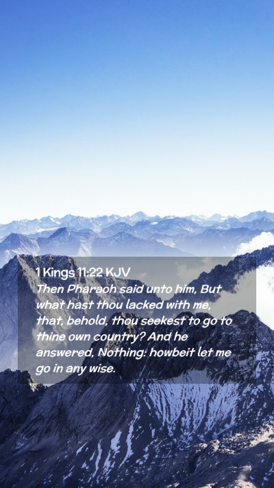 Picture 02 - 1 Kings 11:22 KJV Mobile Phone Wallpaper - Then Pharaoh said unto him, But what hast thou - Mobile Bible Verse Wallpaper