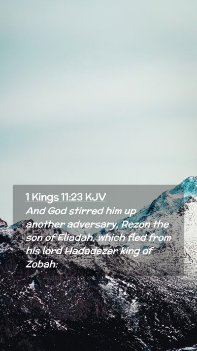 Picture 02 - 1 Kings 11:23 KJV Mobile Phone Wallpaper - And God stirred him up another adversary, Rezon - Mobile Bible Verse Wallpaper