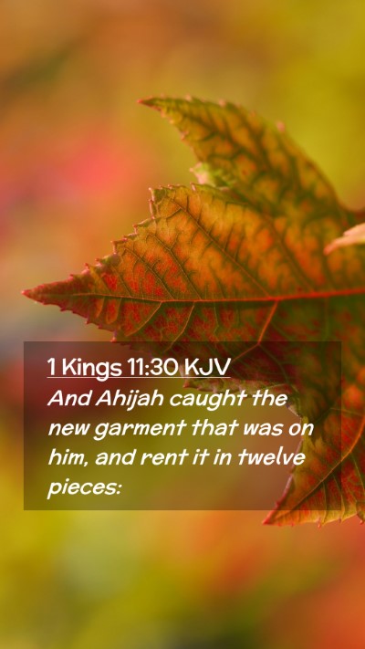 Picture 02 - 1 Kings 11:30 KJV Mobile Phone Wallpaper - And Ahijah caught the new garment that was on - Mobile Bible Verse Wallpaper