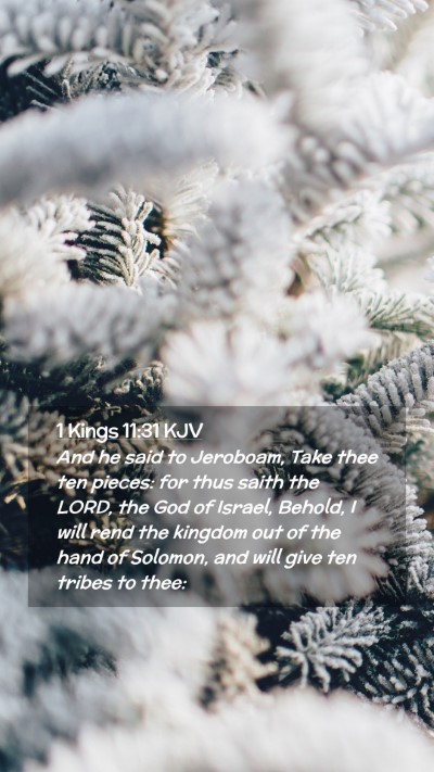 Picture 02 - 1 Kings 11:31 KJV Mobile Phone Wallpaper - And he said to Jeroboam, Take thee ten pieces: - Mobile Bible Verse Wallpaper