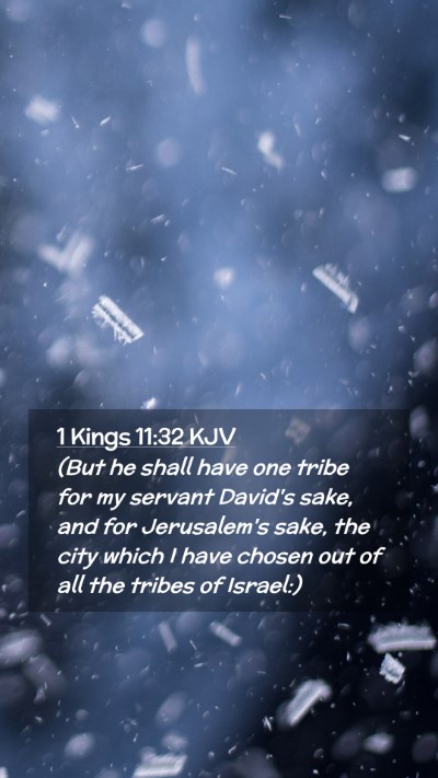 Picture 02 - 1 Kings 11:32 KJV Mobile Phone Wallpaper - (But he shall have one tribe for my servant - Mobile Bible Verse Wallpaper