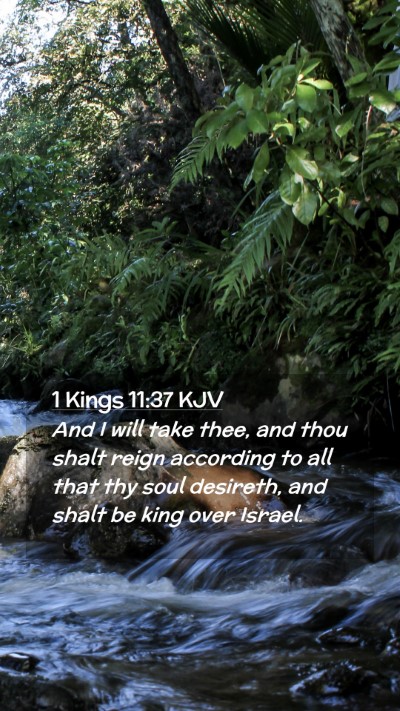 Picture 02 - 1 Kings 11:37 KJV Mobile Phone Wallpaper - And I will take thee, and thou shalt reign - Mobile Bible Verse Wallpaper