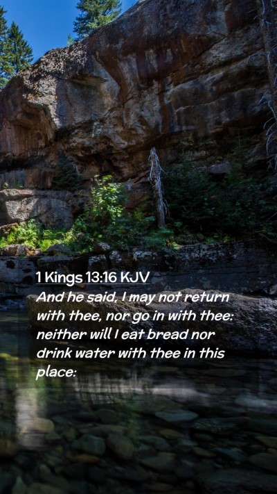 Picture 02 - 1 Kings 13:16 KJV Mobile Phone Wallpaper - And he said, I may not return with thee, nor go - Mobile Bible Verse Wallpaper