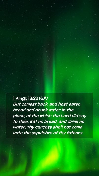 Picture 02 - 1 Kings 13:22 KJV Mobile Phone Wallpaper - But camest back, and hast eaten bread and drunk - Mobile Bible Verse Wallpaper