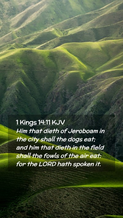 Picture 02 - 1 Kings 14:11 KJV Mobile Phone Wallpaper - Him that dieth of Jeroboam in the city shall the - Mobile Bible Verse Wallpaper