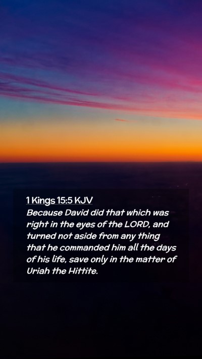 Picture 02 - 1 Kings 15:5 KJV Mobile Phone Wallpaper - Because David did that which was right in the - Mobile Bible Verse Wallpaper