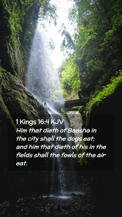 Picture 02 - 1 Kings 16:4 KJV Mobile Phone Wallpaper - Him that dieth of Baasha in the city shall the - Mobile Bible Verse Wallpaper