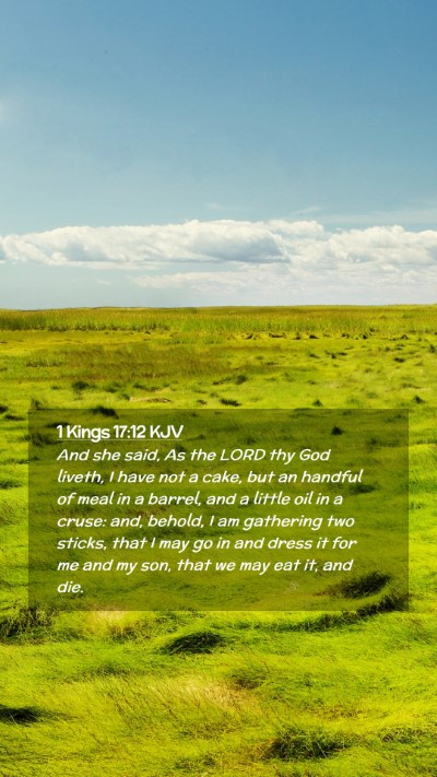Picture 02 - 1 Kings 17:12 KJV Mobile Phone Wallpaper - And she said, As the LORD thy God liveth, I have - Mobile Bible Verse Wallpaper