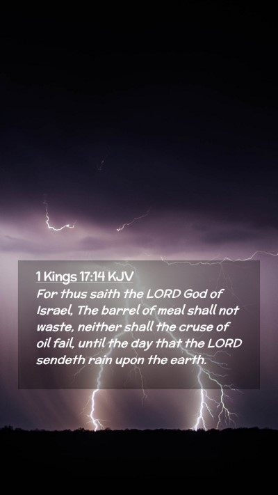 Picture 02 - 1 Kings 17:14 KJV Mobile Phone Wallpaper - For thus saith the LORD God of Israel, The barrel - Mobile Bible Verse Wallpaper