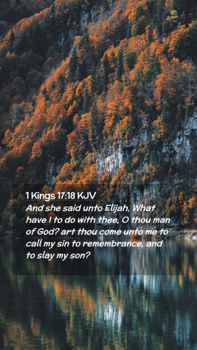 Picture 02 - 1 Kings 17:18 KJV Mobile Phone Wallpaper - And she said unto Elijah, What have I to do with - Mobile Bible Verse Wallpaper