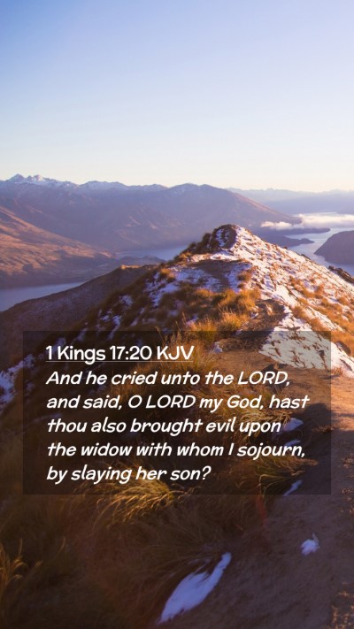 Picture 02 - 1 Kings 17:20 KJV Mobile Phone Wallpaper - And he cried unto the LORD, and said, O LORD my - Mobile Bible Verse Wallpaper