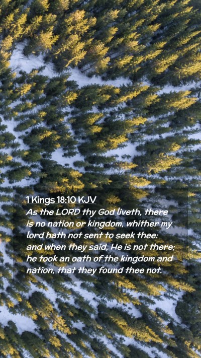 Picture 02 - 1 Kings 18:10 KJV Mobile Phone Wallpaper - As the LORD thy God liveth, there is no nation or - Mobile Bible Verse Wallpaper